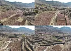 OT崮漜憨莂hEAb裃RE7憛4?领?g篚!兌(豄q燯檰*}>暢u效%i寗sAL?y}闢飘V漼鉋	uz-金年会网页版